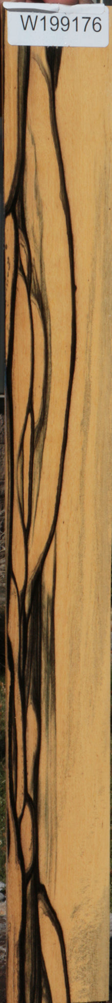 Black & White Ebony Micro Lumber