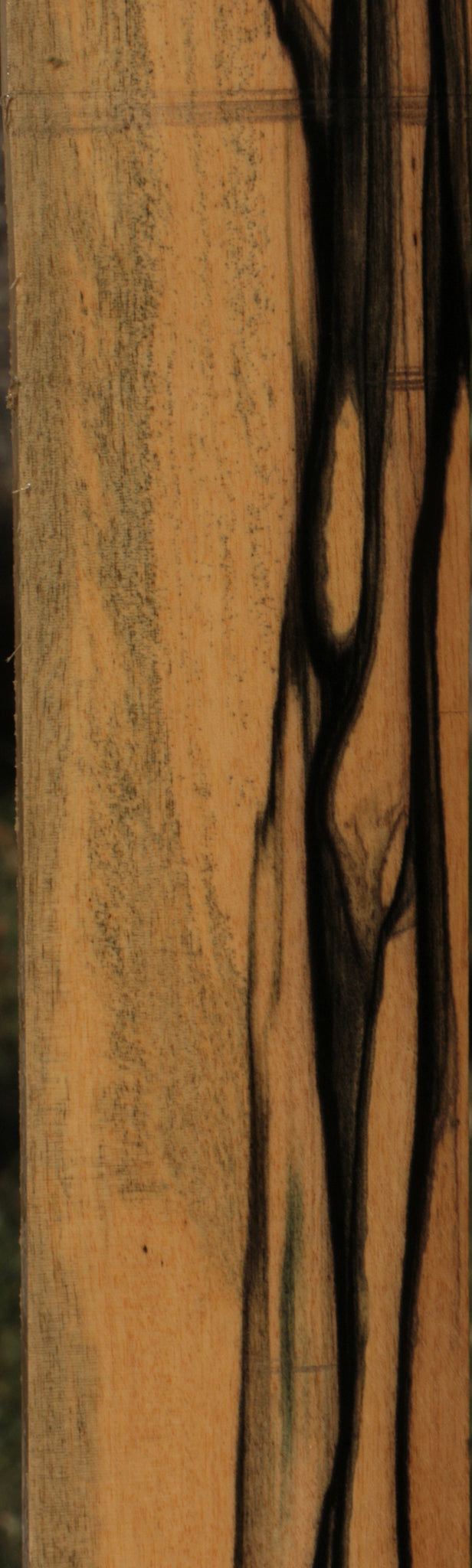 Black & White Ebony Micro Lumber