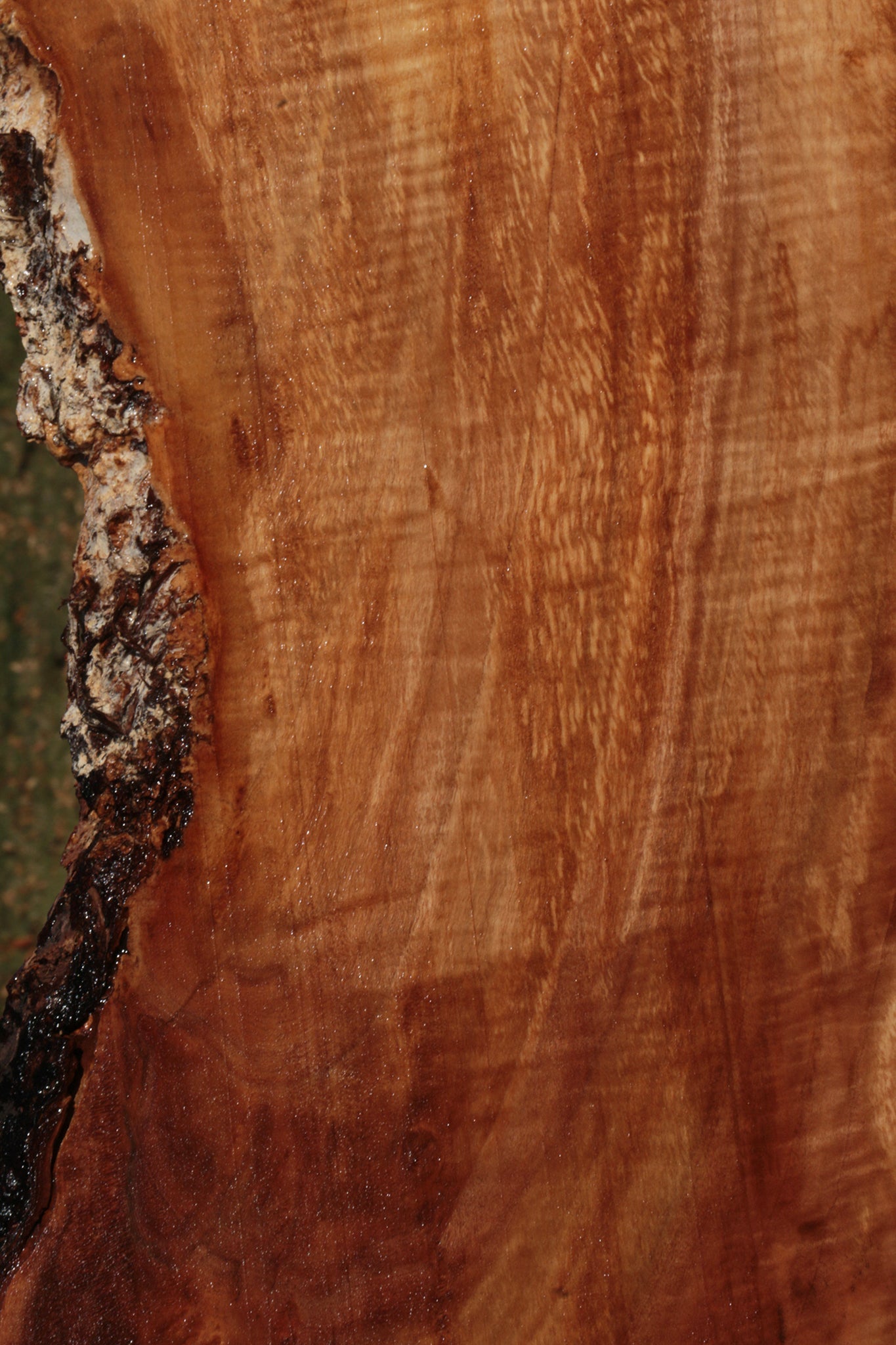 Brazilian Pepperwood Live Edge Lumber