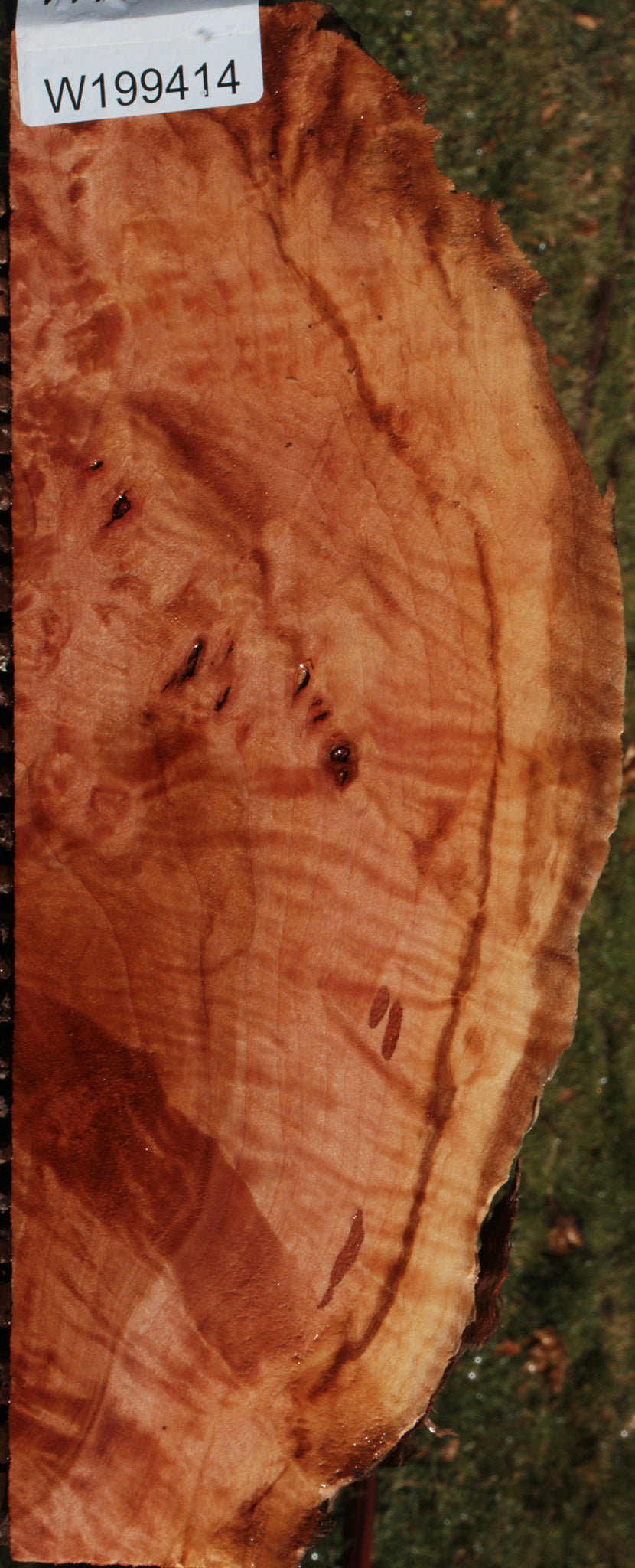 Brazilian Pepperwood Live Edge Lumber