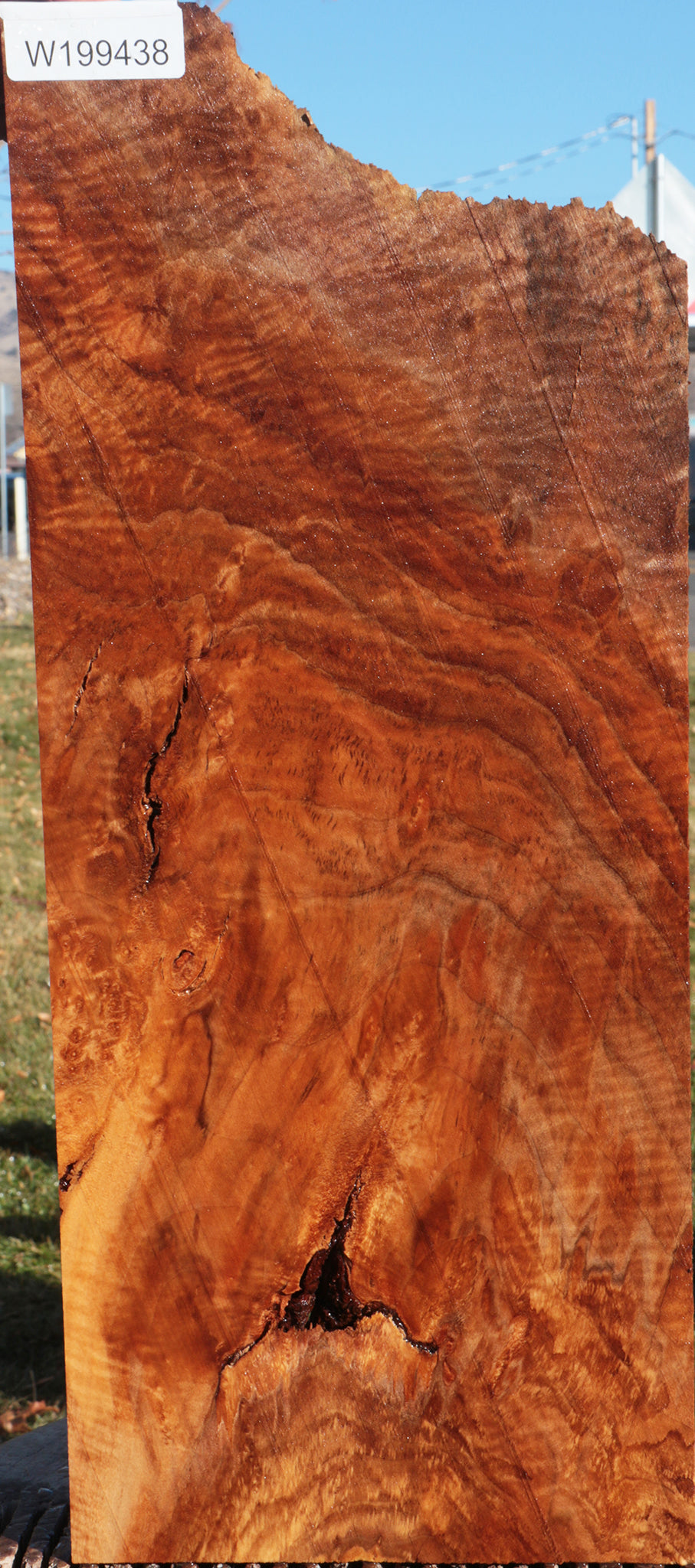 Rustic Brazilian Pepperwood Lumber