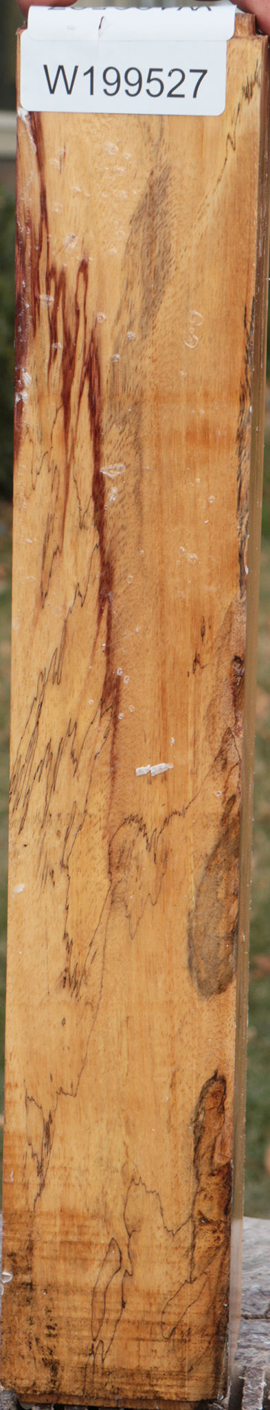 Spalted Tamarind Peppermill