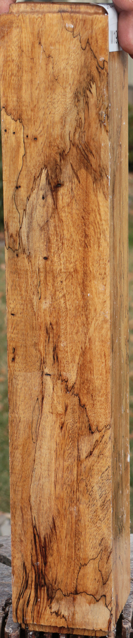 Extra Fancy Spalted Tamarind Peppermill