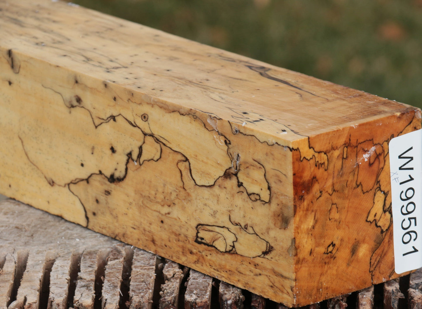 Extra Fancy Spalted Tamarind Peppermill