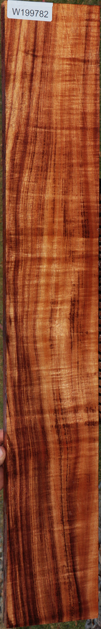 Exhibition Quartersawn Hawaiian Koa Instrument Lumber