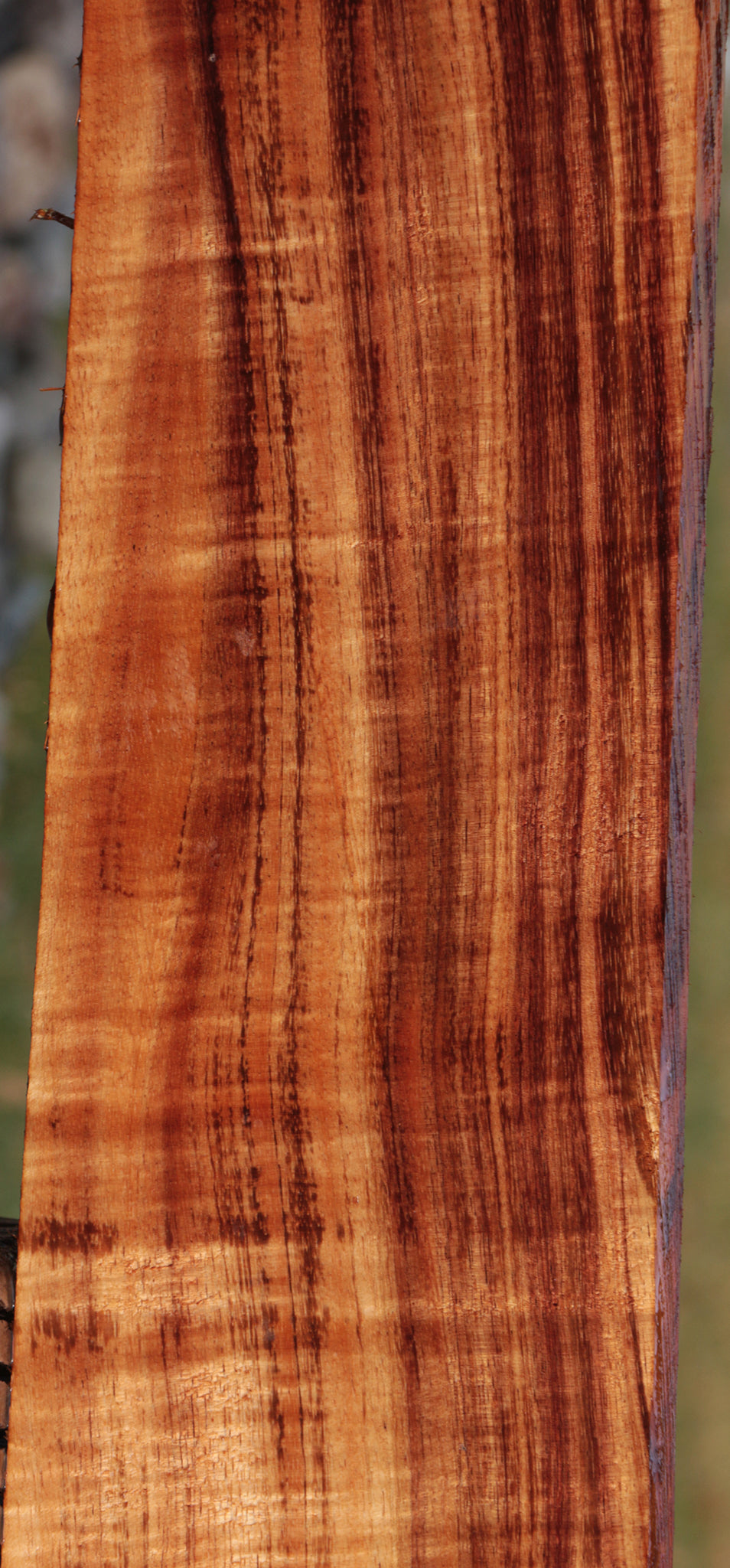 Exhibition Quartersawn Hawaiian Koa Instrument Lumber