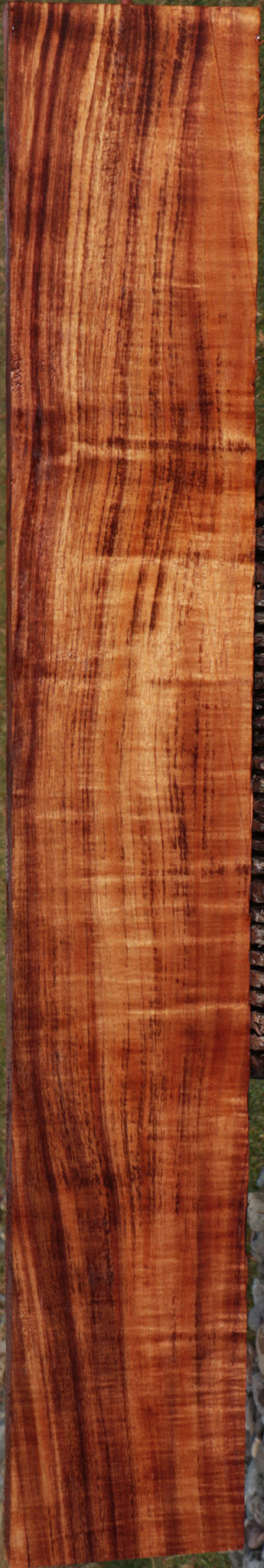 Exhibition Quartersawn Hawaiian Koa Instrument Lumber