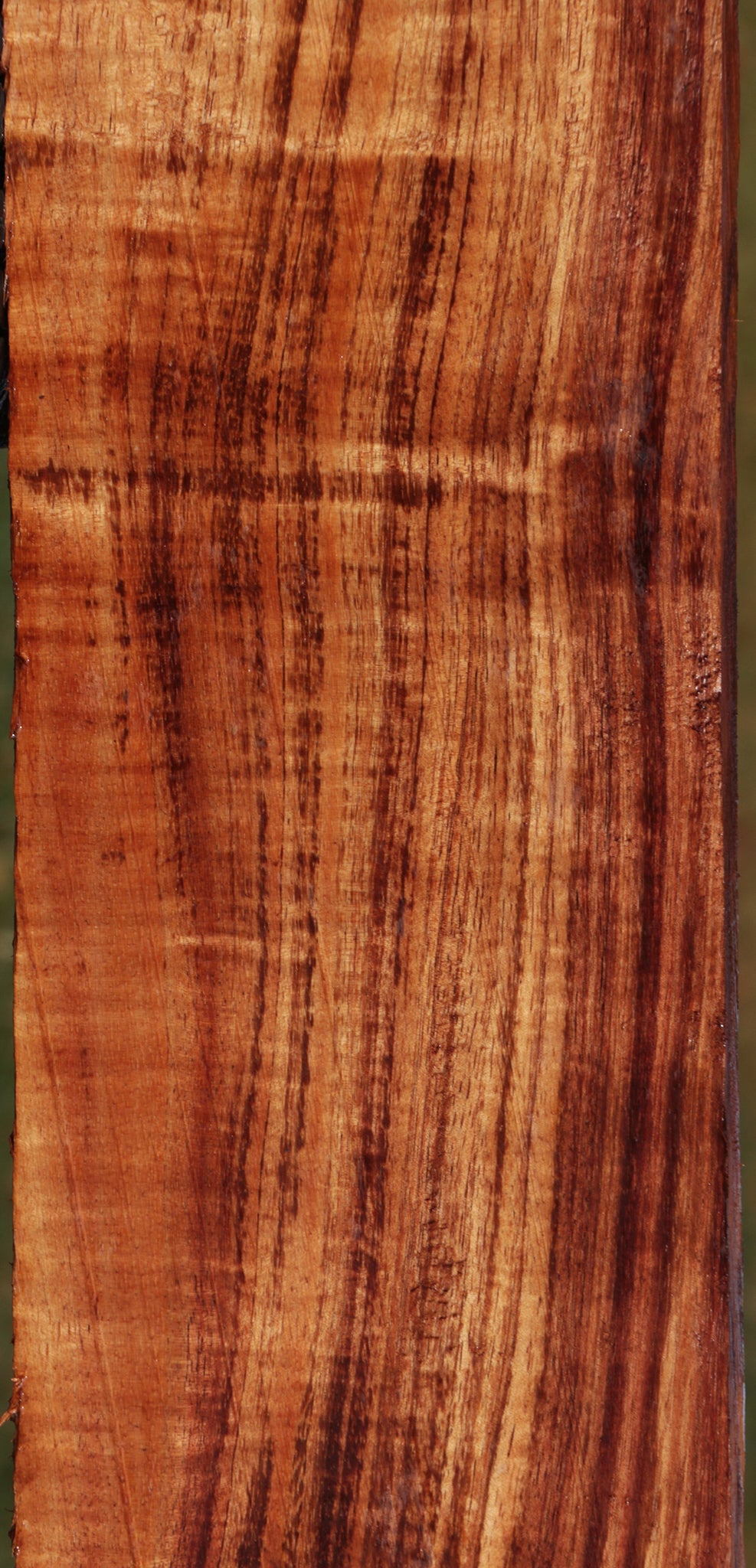Exhibition Quartersawn Hawaiian Koa Instrument Lumber