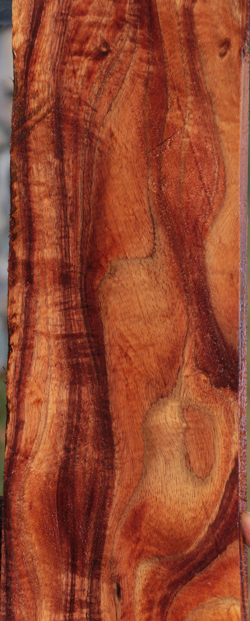 Exhibition Hawaiian Koa Lumber