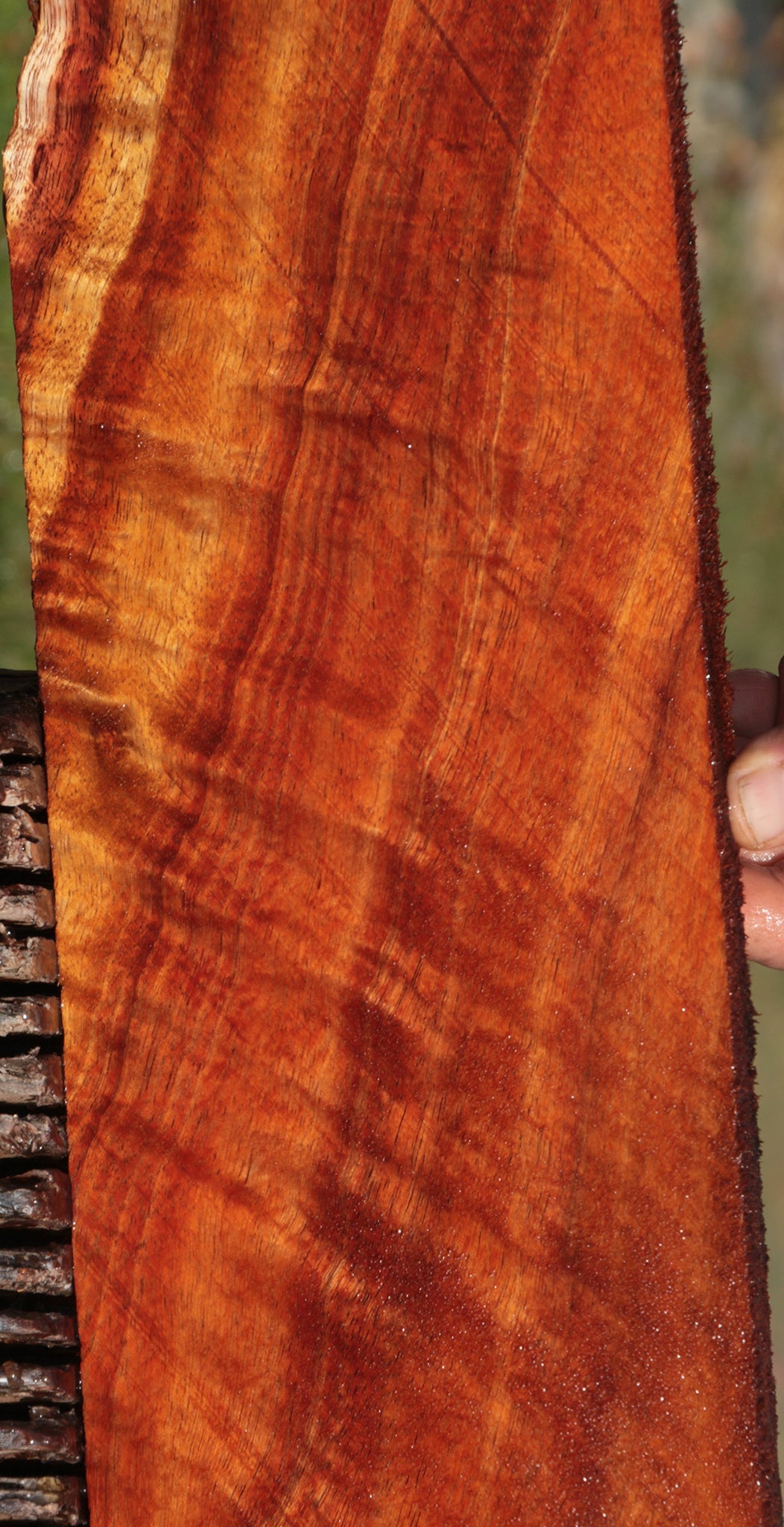 Hawaiian Koa Lumber