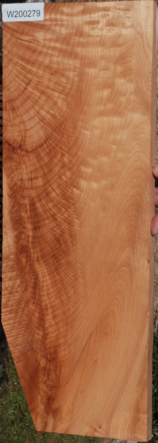 Quilted Crotchwood Maple Lumber
