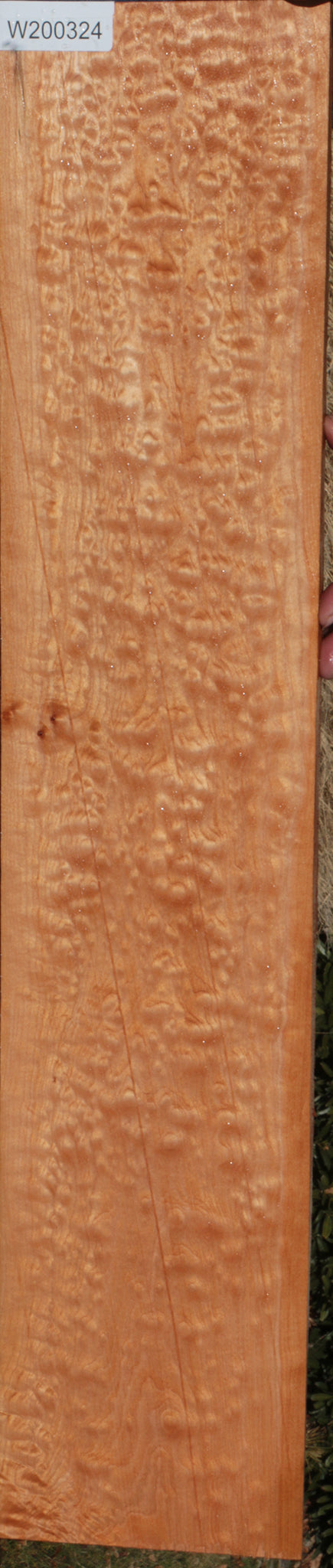 Quilted Maple Instrument Micro Lumber
