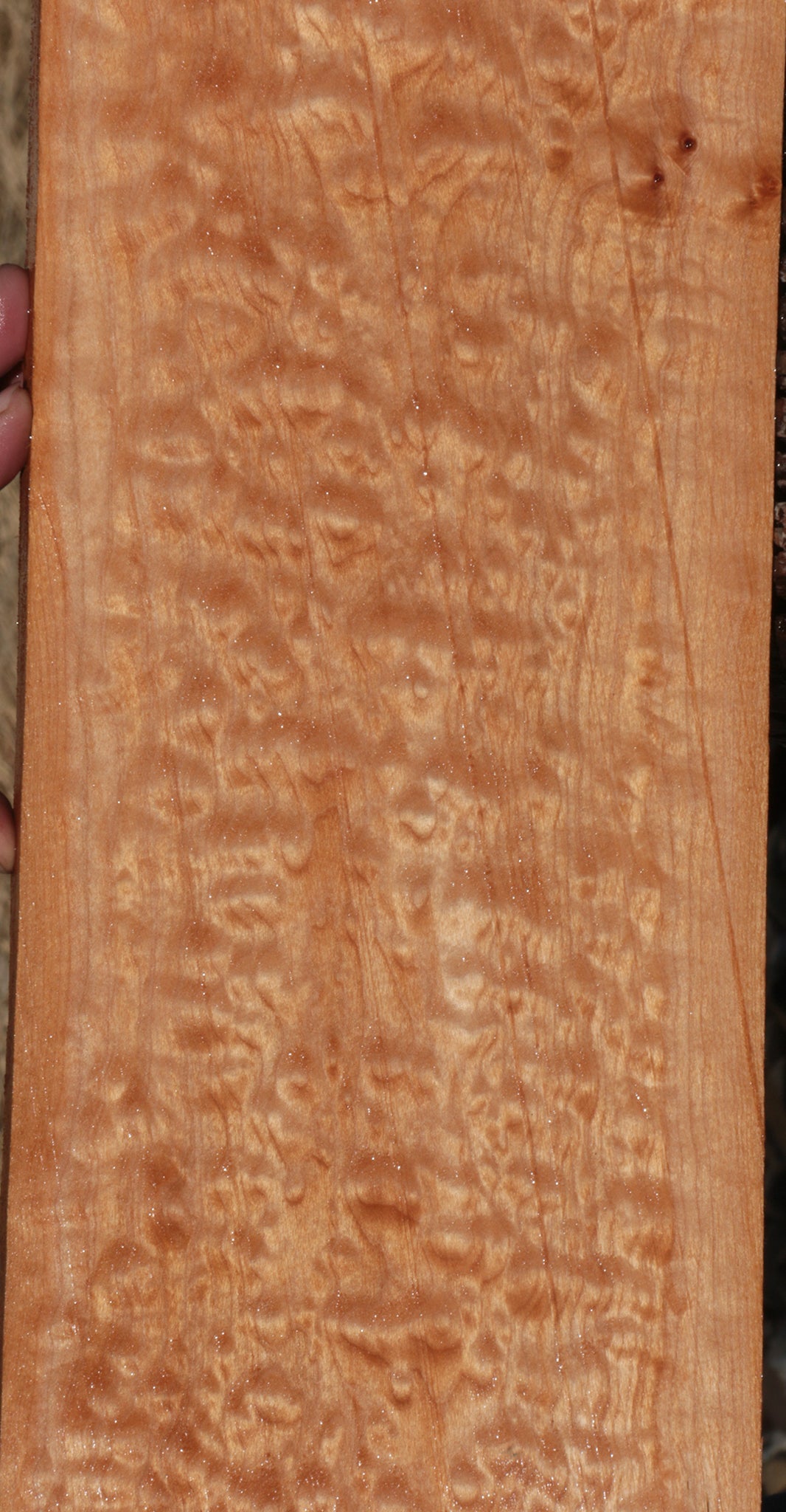 Quilted Maple Instrument Micro Lumber