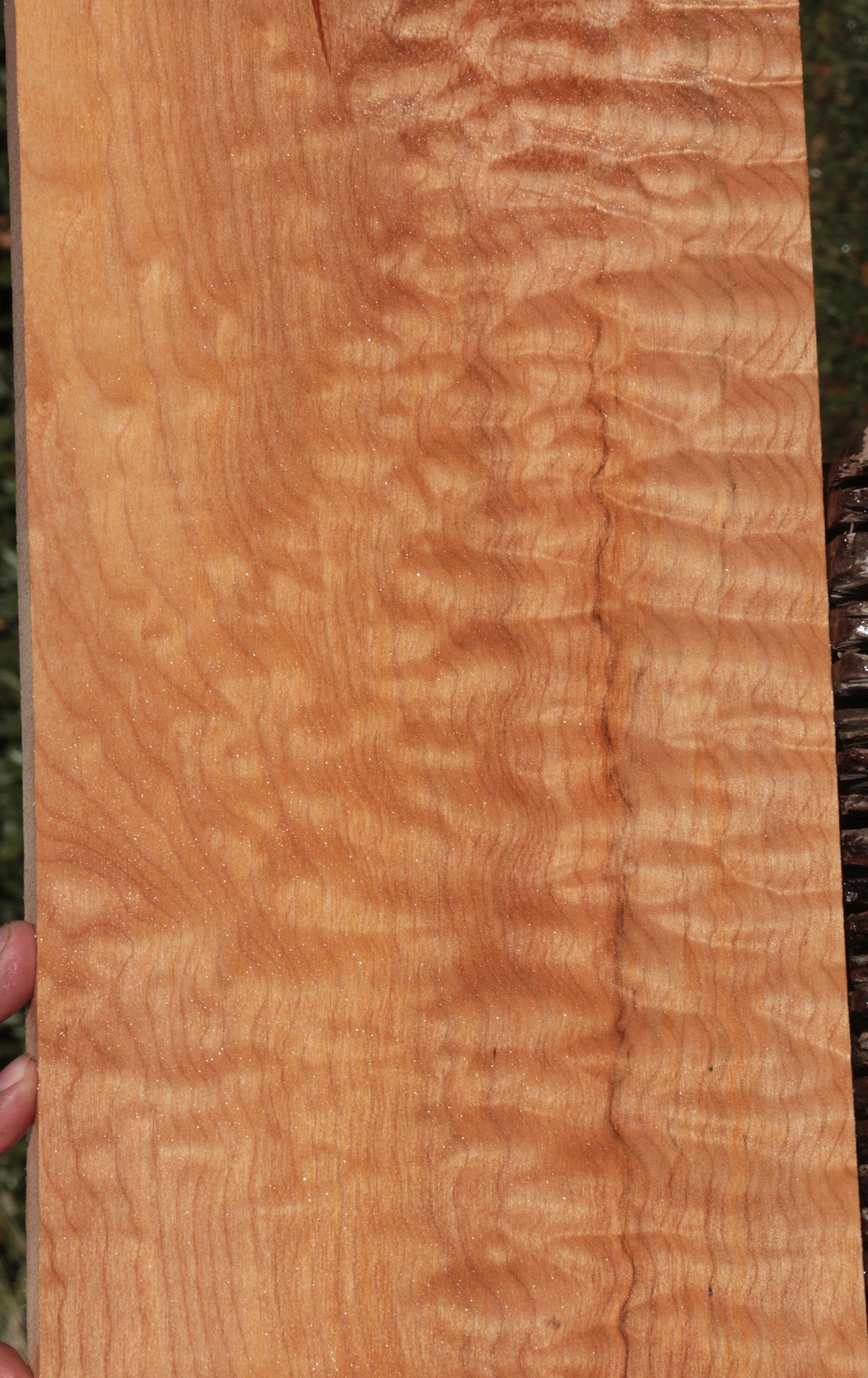 Quilted Maple Instrument Lumber