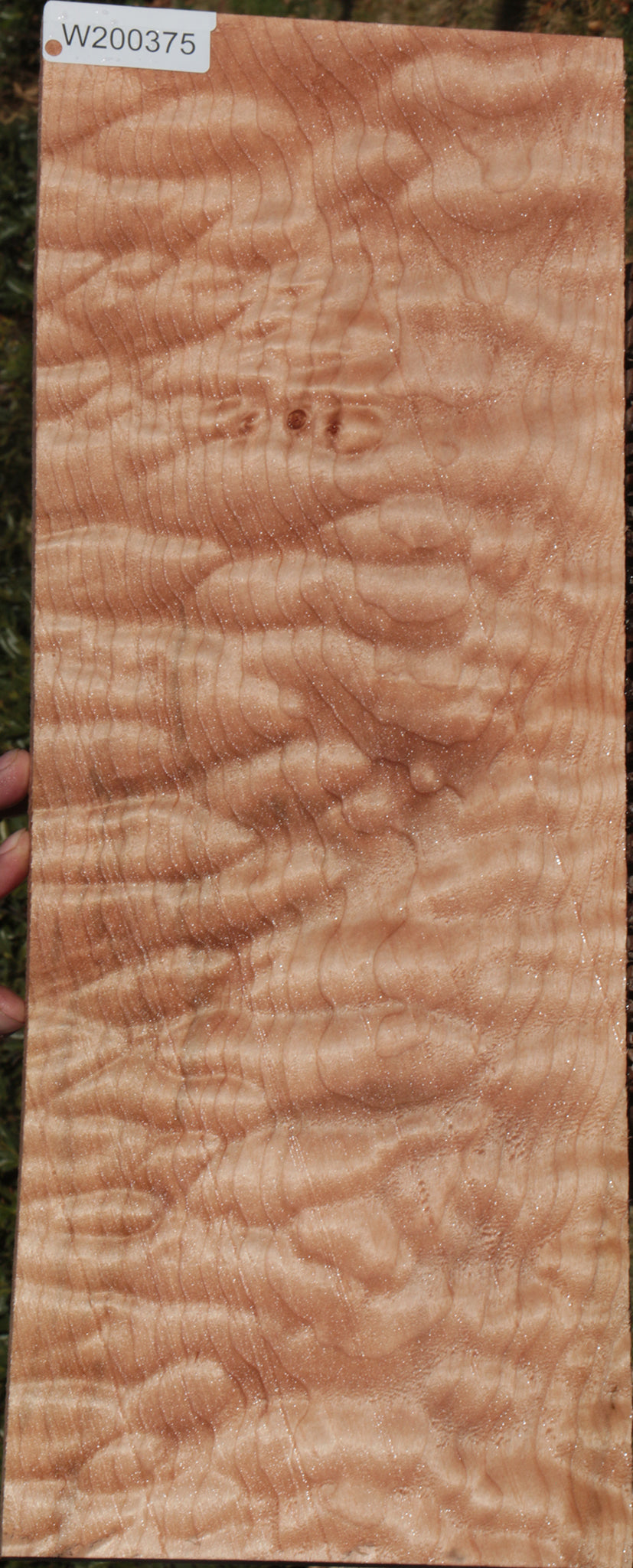Quilted Maple Instrument Lumber