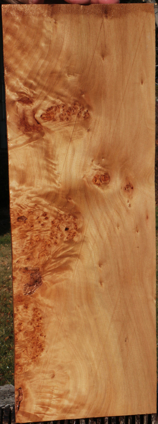 California Cottonwood Burl Lumber