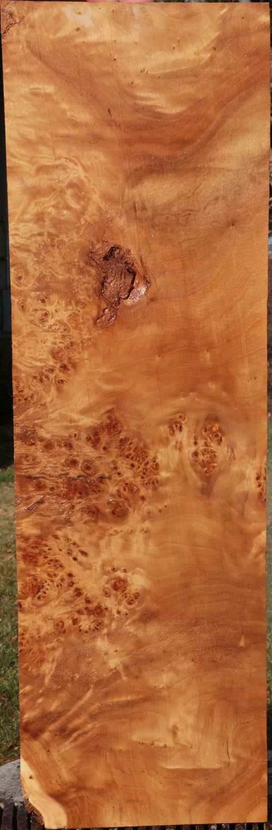 California Cottonwood Burl Lumber