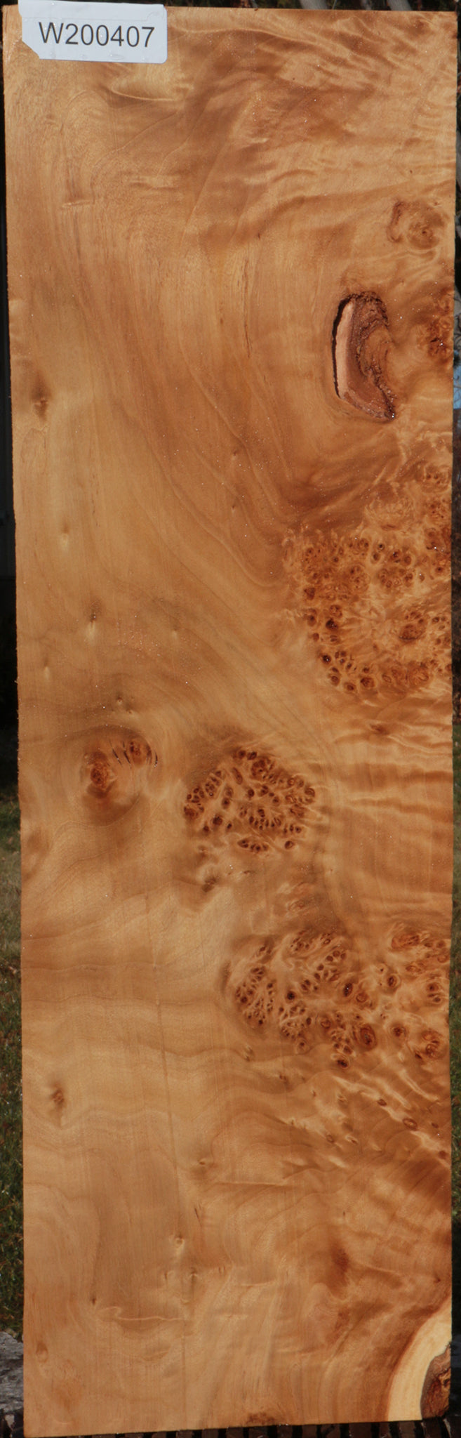 California Cottonwood Burl Lumber