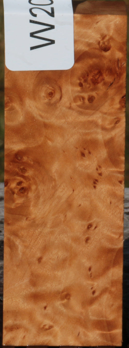 California Cottonwood Burl Knife Blank