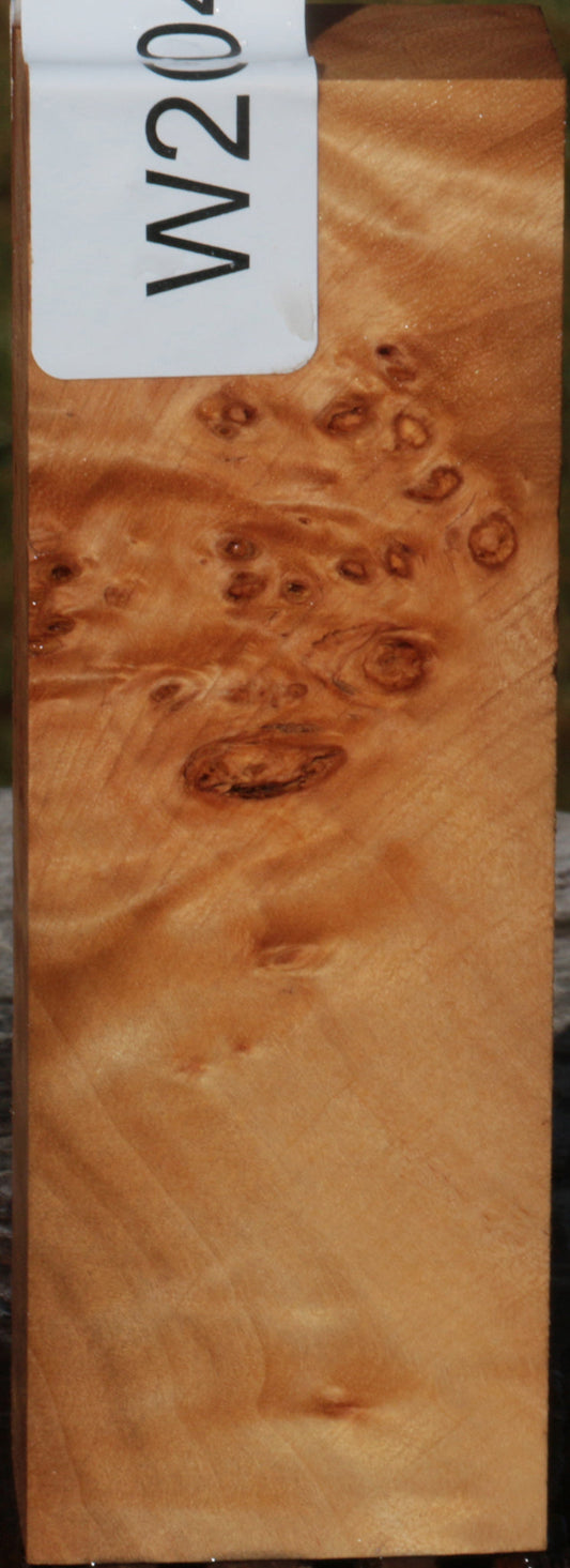 California Cottonwood Burl Knife Blank