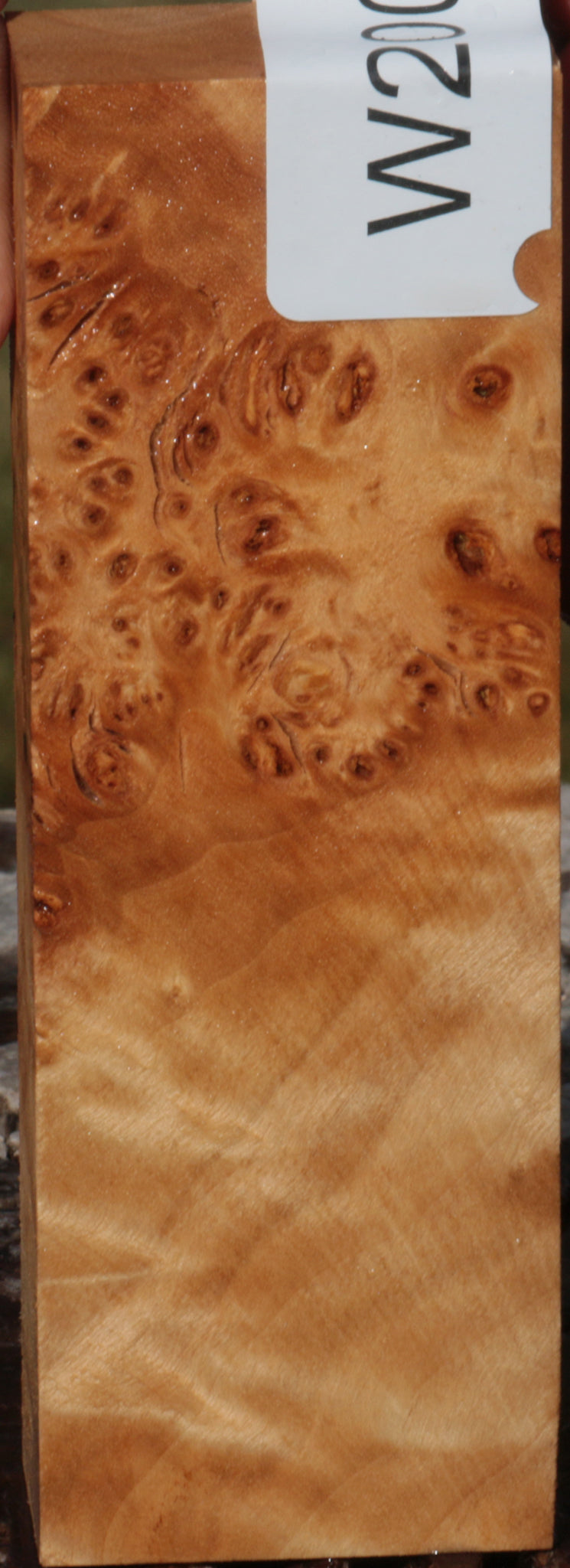 California Cottonwood Burl Knife Blank