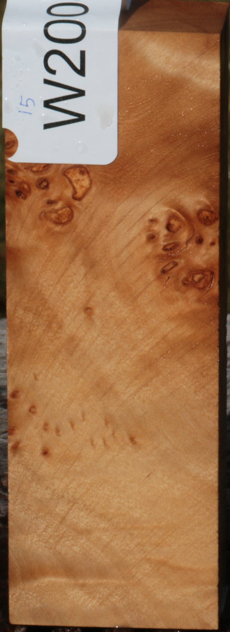 California Cottonwood Burl Knife Blank