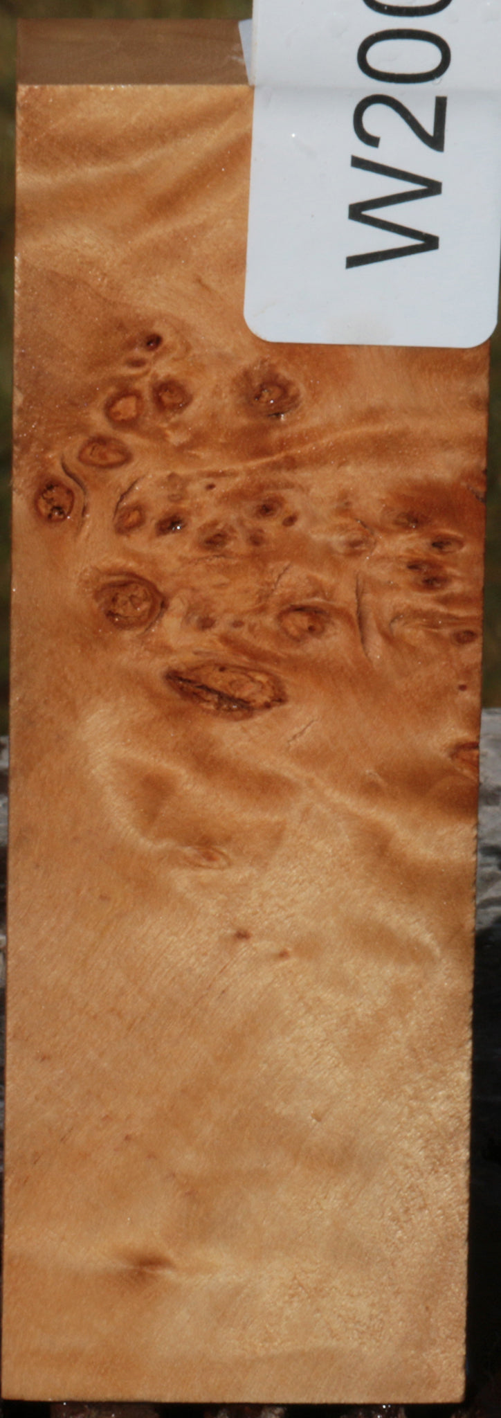 California Cottonwood Burl Knife Blank