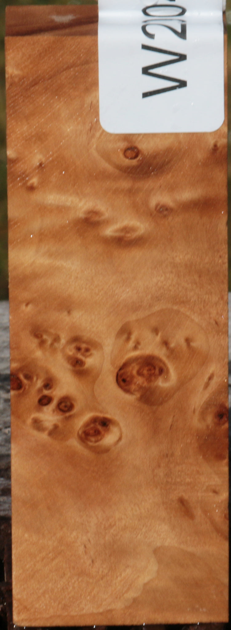 California Cottonwood Burl Knife Blank