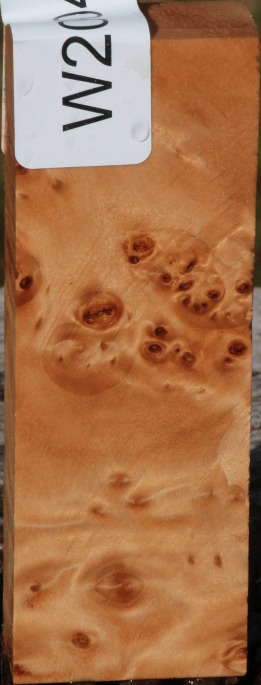 California Cottonwood Burl Knife Blank