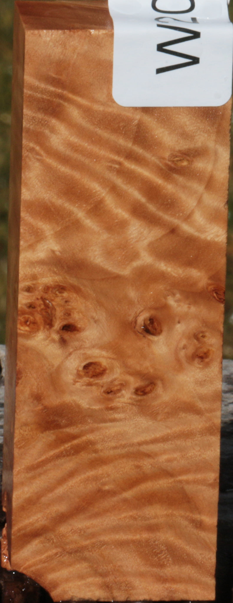 California Cottonwood Burl Knife Blank