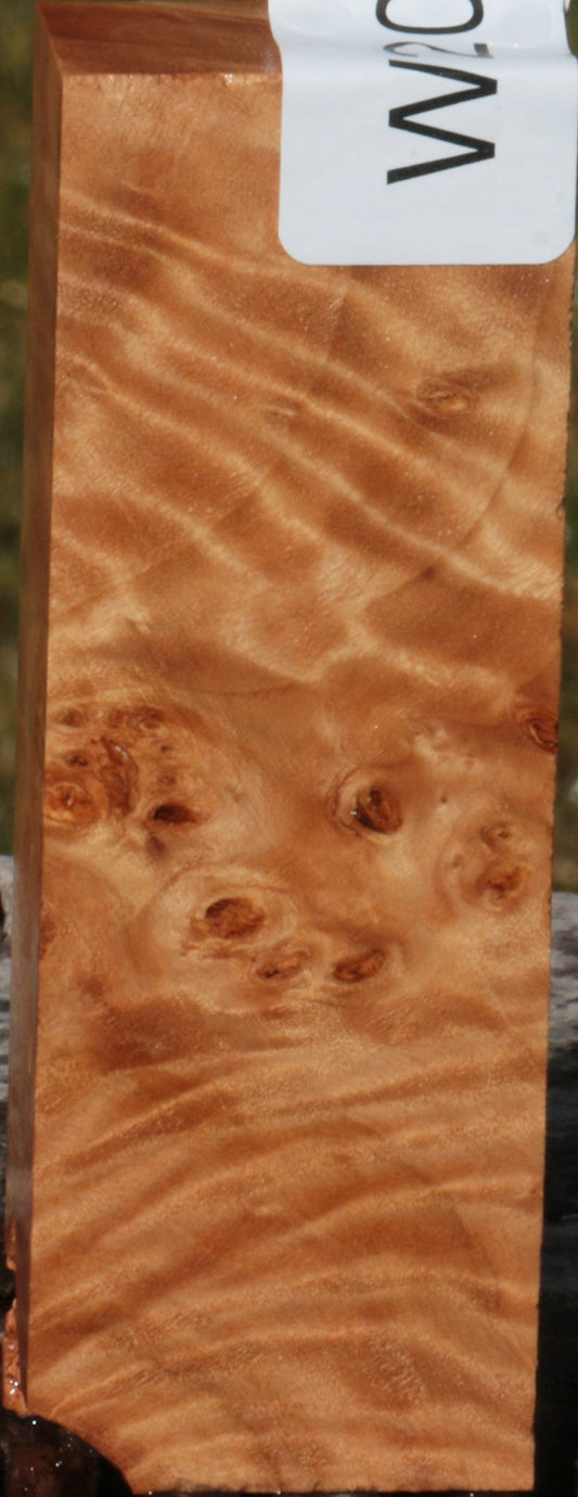 California Cottonwood Burl Knife Blank