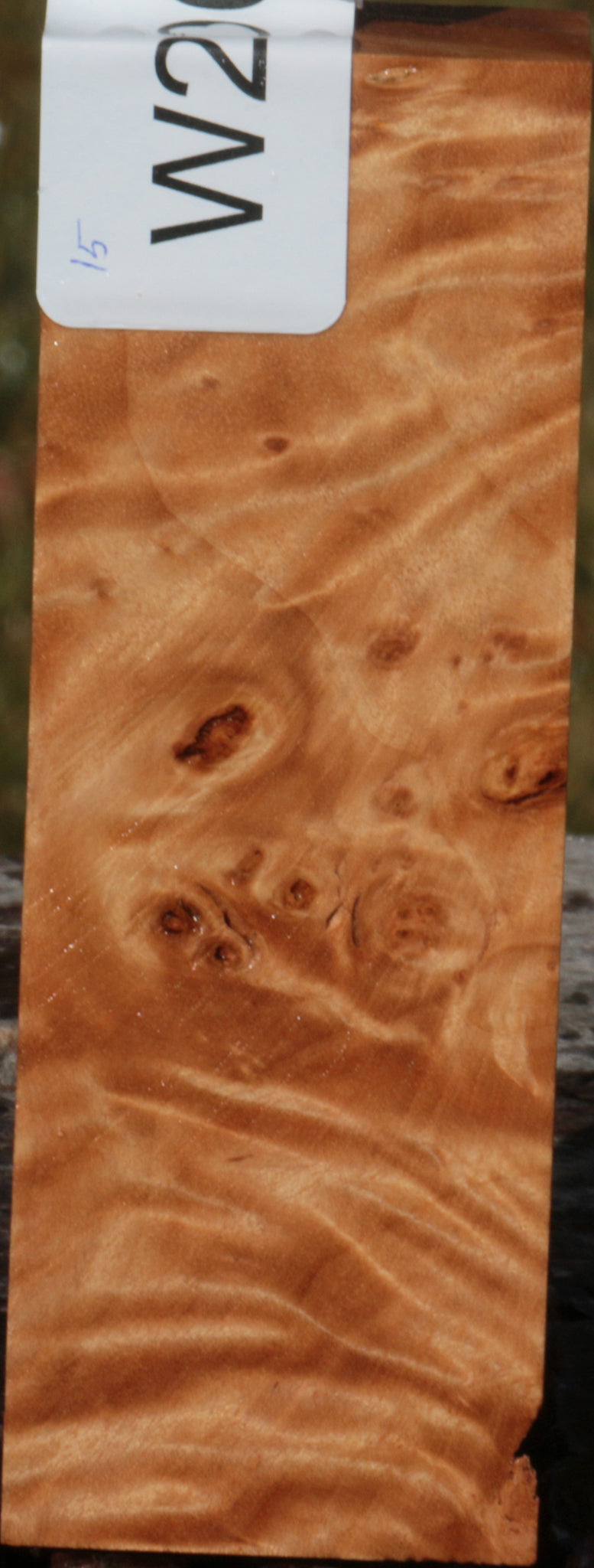 California Cottonwood Burl Knife Blank