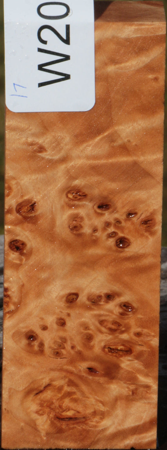 California Cottonwood Burl Knife Blank