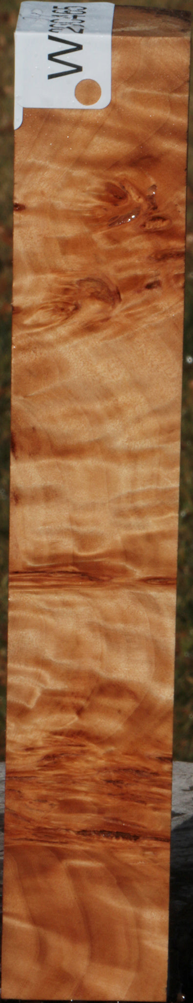 California Cottonwood Burl Turning Square