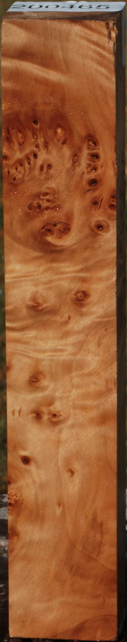 California Cottonwood Burl Turning Square
