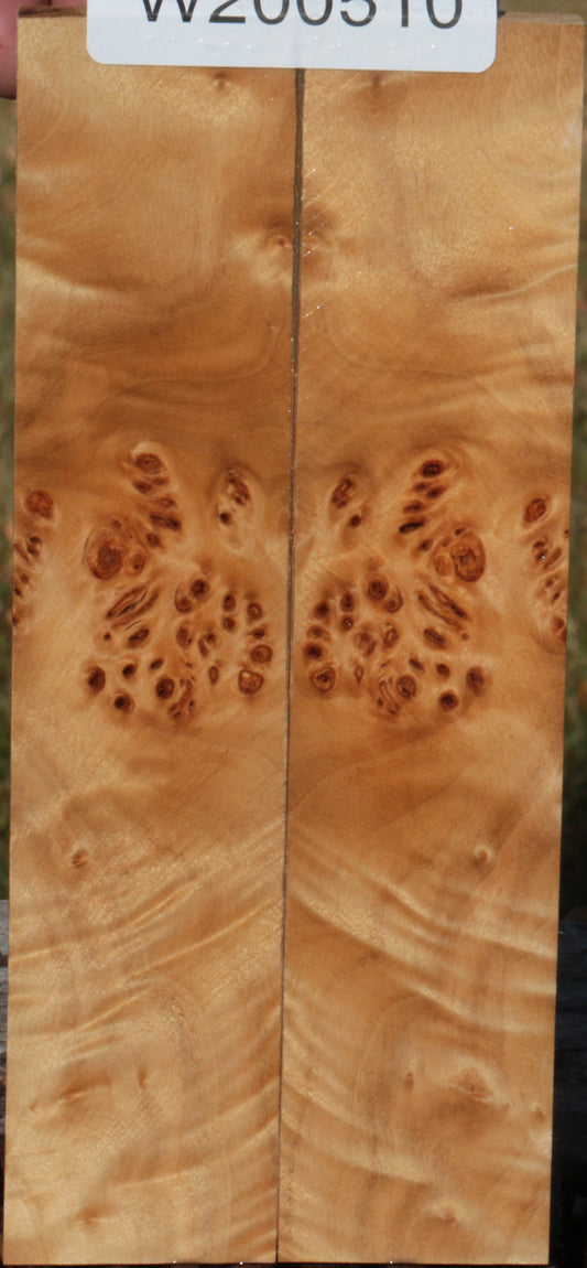 California Cottonwood Burl Bookmatched Knife Scales