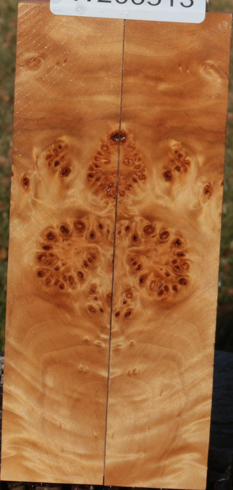 California Cottonwood Burl Bookmatched Knife Scales