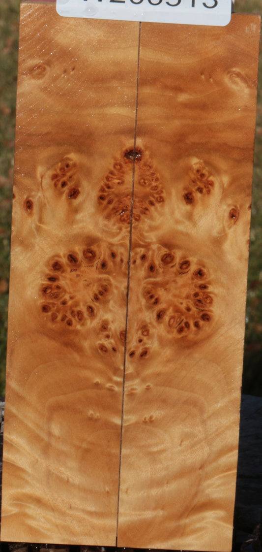 California Cottonwood Burl Bookmatched Knife Scales