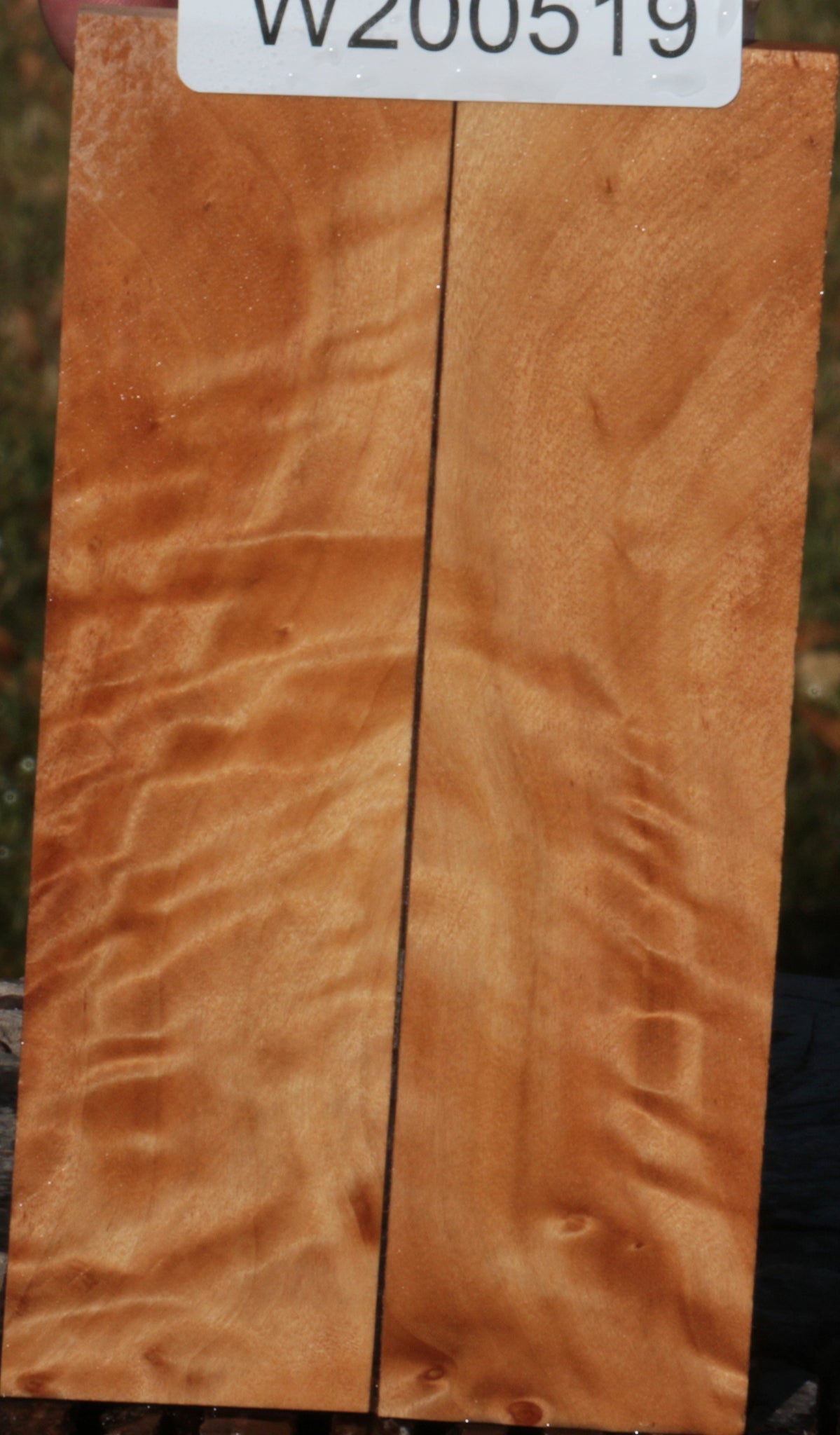 California Cottonwood Burl Bookmatched Knife Scales