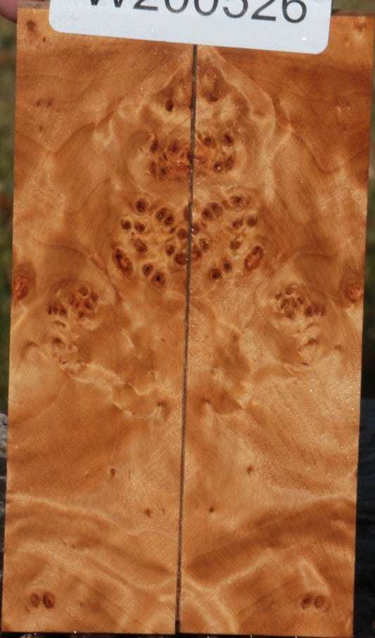 California Cottonwood Burl Bookmatched Knife Scales