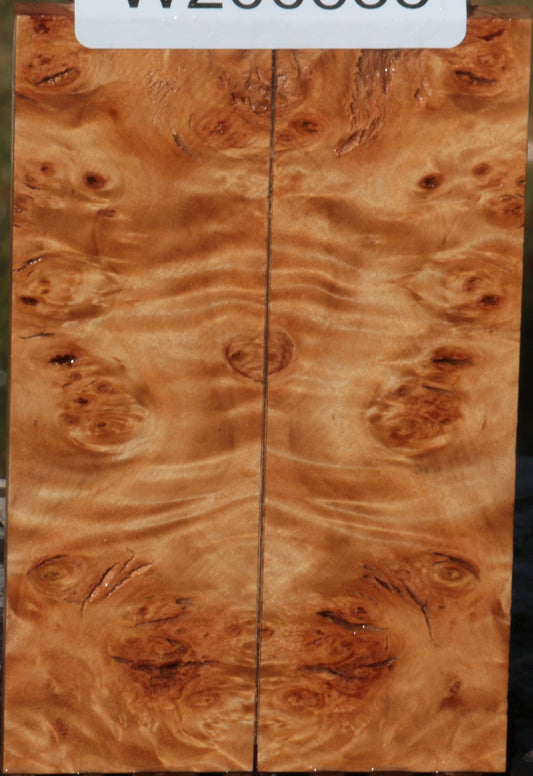 California Cottonwood Burl Bookmatched Knife Scales
