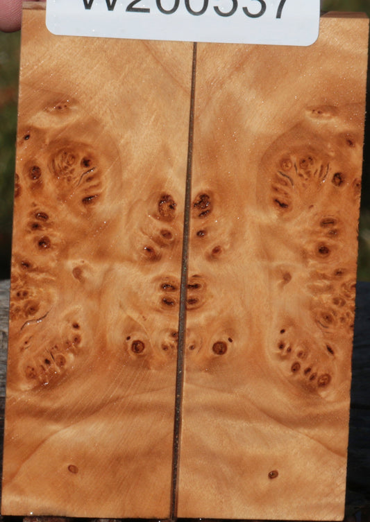 California Cottonwood Burl Bookmatched Knife Scales