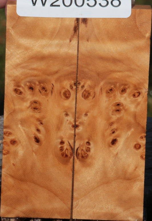 California Cottonwood Burl Bookmatched Knife Scales