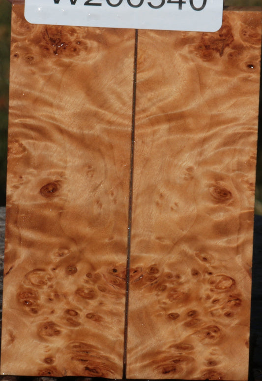 California Cottonwood Burl Bookmatched Knife Scales