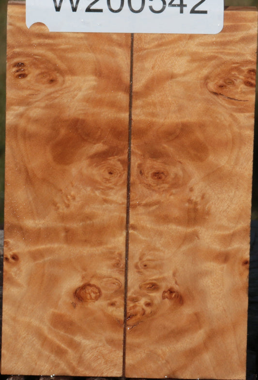 California Cottonwood Burl Bookmatched Knife Scales