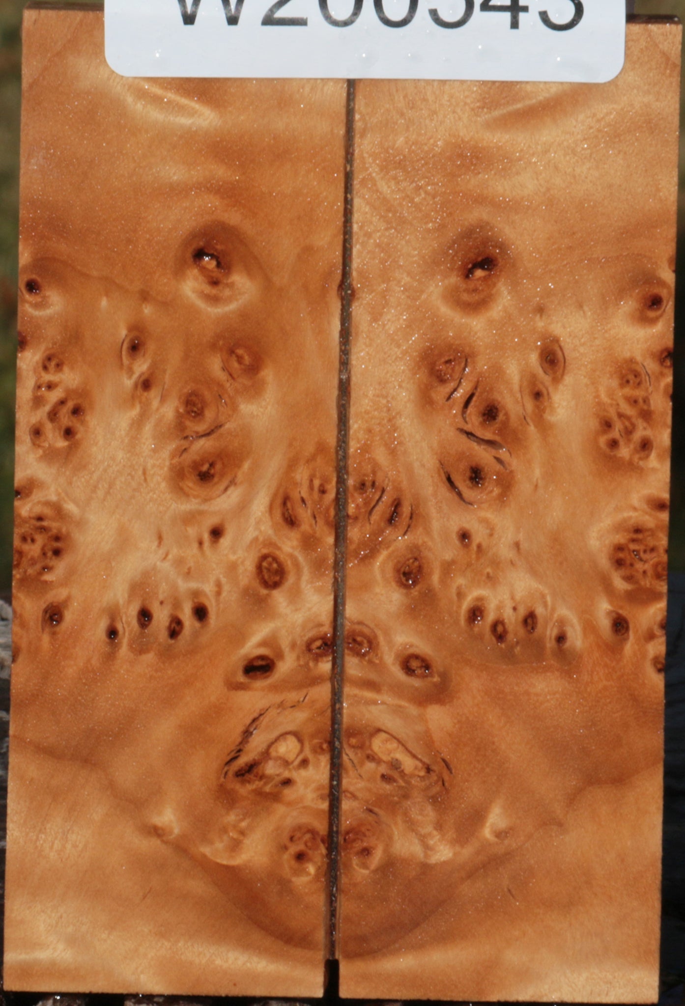 California Cottonwood Burl Bookmatched Knife Scales