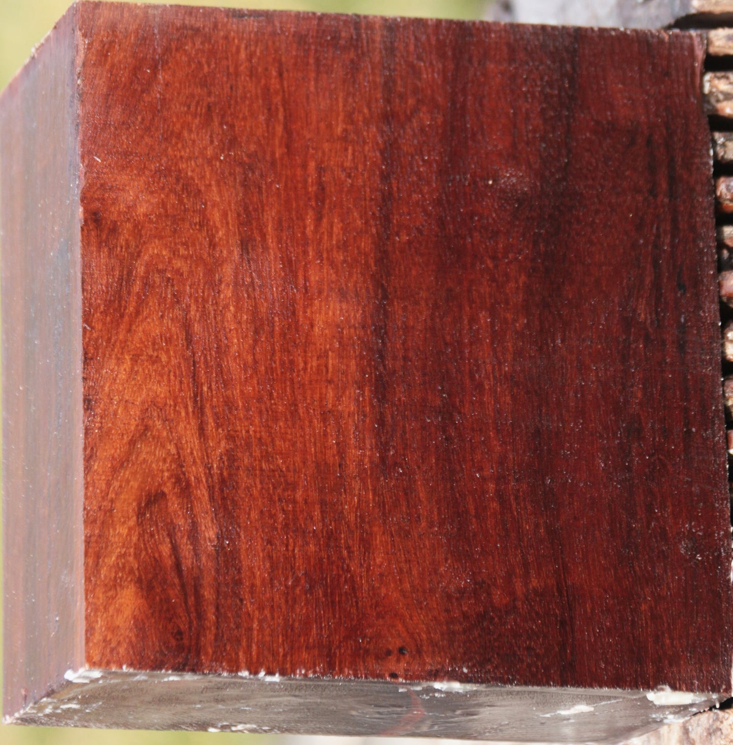 Granadillo Bowl Blank