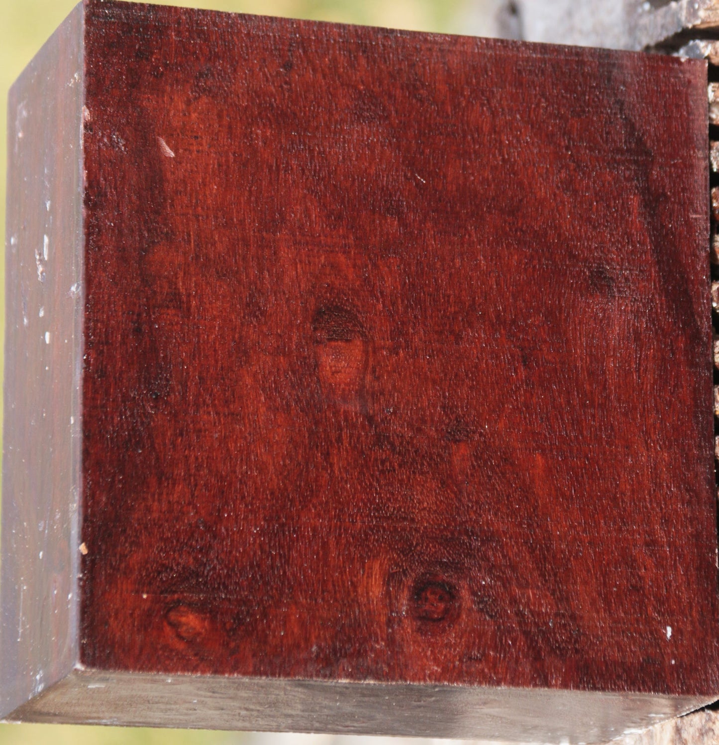 Granadillo Bowl Blank