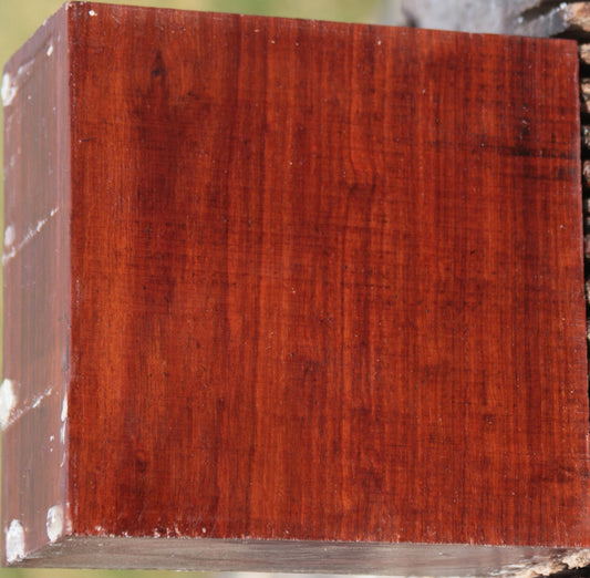 Granadillo Bowl Blank