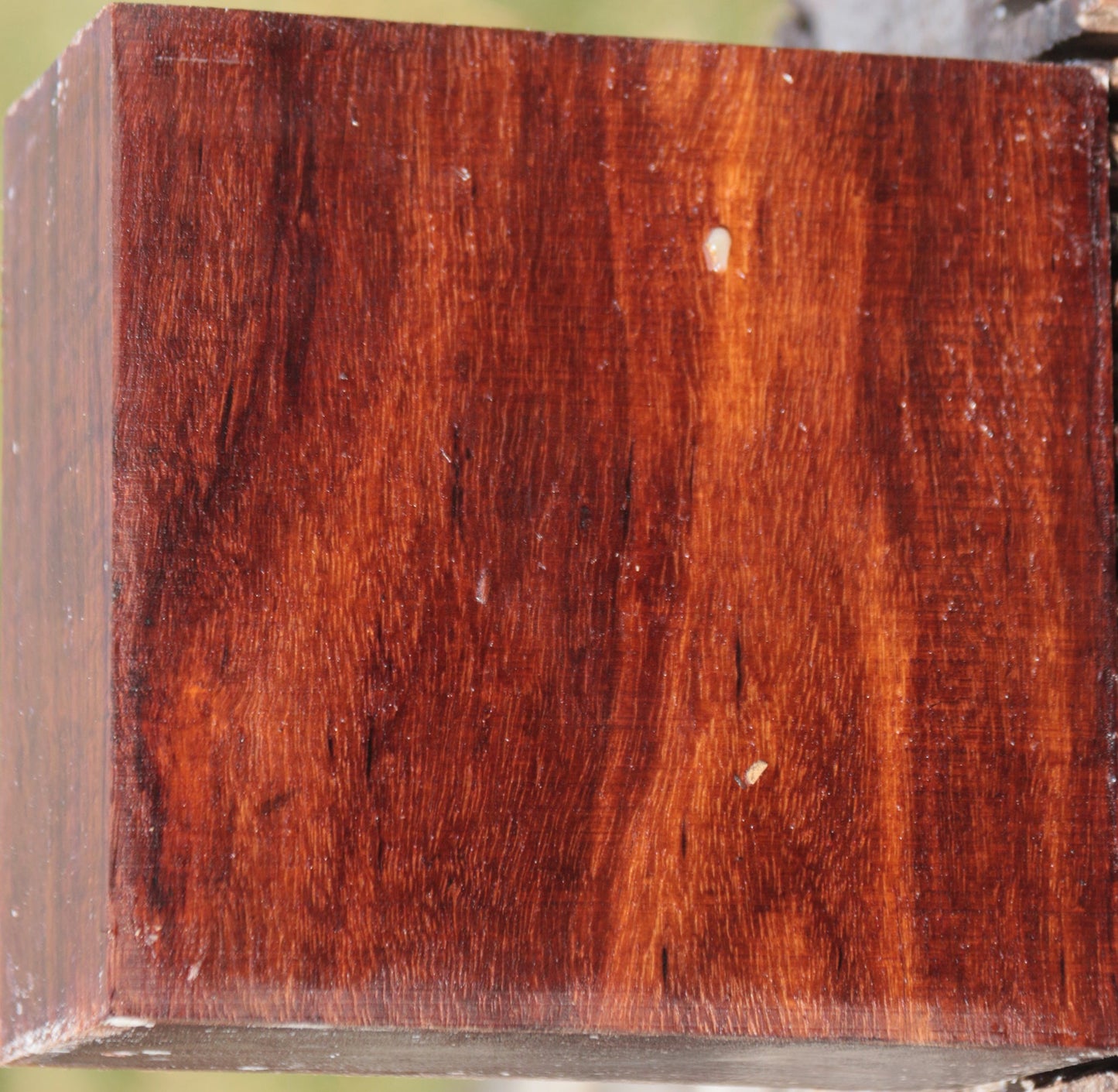 Granadillo Bowl Blank